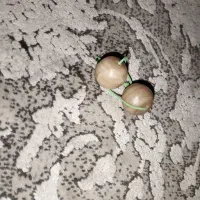 جفت مهره سلیمانی|کلکسیون اشیاء عتیقه|قم, نخودی|دیوار