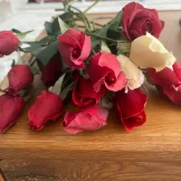 گل رز مصنوعی|گل مصنوعی|شهرکرد, |دیوار