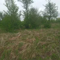 زمین بایر لاهیجان سیاهکل|فروش زمین و ملک کلنگی|سیاهکل, |دیوار