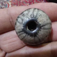 مهره موزه ای و نایاب