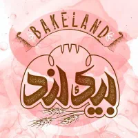 نیروی کار خانم