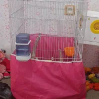 قفس بزرگ با تمام وسایل|لوازم جانبی حیوانات|سنندج, |دیوار