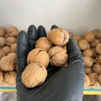 گردو درجه یک