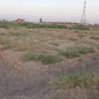 فروش-فوری-10قصب-زمین-مسکونی-عنبراباد-خیابون-دولت