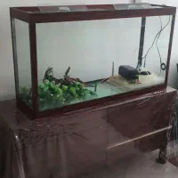 آکواریوم با تمام وسایل