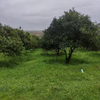 226-متر-زمین-فروشی