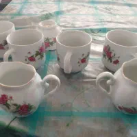 ظروف برای خانه باغ|ظروف سرو و پذیرایی|سنندج, |دیوار