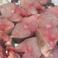 عرضه مستقیم ماهی صیدروز از بندربوشهر
