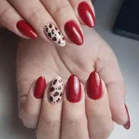 میکاپ‌شینیون‌ رنگ ‌تتوبدن‌ فشیال‌ ناخن تخفیف٪|خدمات آرایشگری و زیبایی|بروجرد, |دیوار