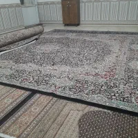 فرش|فرش|کنگاور, |دیوار