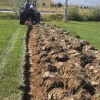 زمین بر جاده سرو