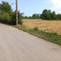 فروش زمین باغی|فروش زمین و ملک کلنگی|رودبنه, |دیوار