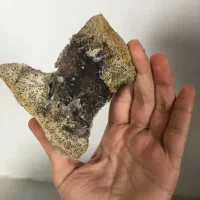 سنگ تزئینی|کلکسیون اشیاء عتیقه|لنگرود, |دیوار