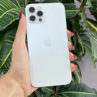 چند مدل ایفون موجود در فروشگاه|موبایل|شیراز, شهرک استقلال|دیوار