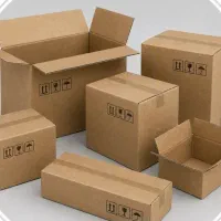 استخدام نیرو خط تولید کارتن سازی
