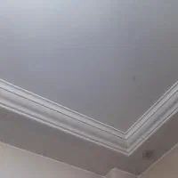 خانوم برای نظافت منزل