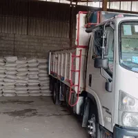 کودبرنج|گل و گیاه طبیعی|دزفول, |دیوار