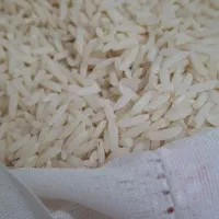 برنج شمال هاشمی