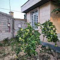 باغشهر ملوسجان بیضا|فروش خانه و ویلا|شیراز, خلدبرین|دیوار