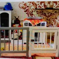 خونه و پارک چوبی پت