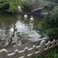 مغازه رهن کامل یا فروش