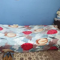 تخت یکنفره چوبی|تخت و سرویس خواب|اصفهان, خواجو|دیوار