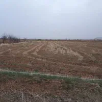 زمین-زراعی