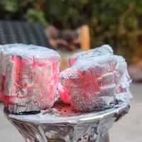 زغال لیمو جهرم