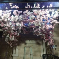 وام جانبازی