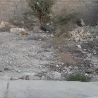 زمین 42 متری واقع در پلدختر