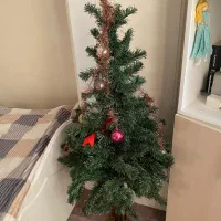درخت کریسمس