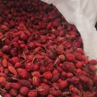 کیلویی صدوسی|خوردنی و آشامیدنی|شاهرود (اردبیل), |دیوار