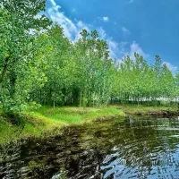 ویلا /جنگلی با طراحی /مدرن|فروش خانه و ویلا|آسارا, |دیوار