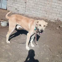 قیمت ۵۰۰۰۰۰۰۰ تومان