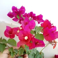 کارگرم بیشتر ساعتی کار میکنم