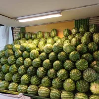 پالت میوه فروشی