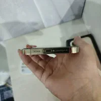 اپل iPhone 13 Pro Max با حافظهٔ ۲۵۶ گیگابایت|موبایل|اهواز, گلستان|دیوار