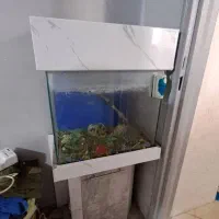 اکواریوم|لوازم جانبی حیوانات|تهران, جوادیه|دیوار