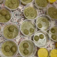 کوفته سبزی شیرازی ویارونه|خوردنی و آشامیدنی|شیراز, شهرک صادقیه|دیوار