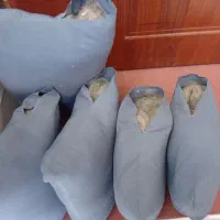 بالشت و تشکچه پشمی|رختخواب، بالش، پتو|اصفهان, اندوان|دیوار