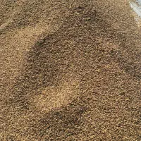 کنجد درجه یک جنوب کرمان|حراج|ری, شهرک نظامی|دیوار