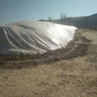 کاە مرغوب ریز کمباین