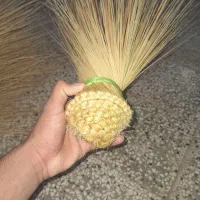 جارو|لوازم نظافت|زابل, |دیوار