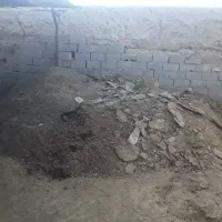 کود گاوی کهنه