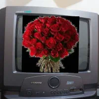 تلویزیون ۱۴