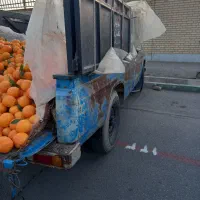 نیسان مدل 73|خودرو سواری و وانت|تهران, میدان میوه و ترهبار مرکزی|دیوار