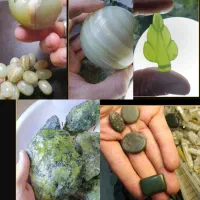 یشم انواع یشم تراش خورده و نخورده