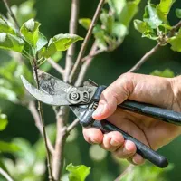 حرص وکاشت وتمیز کردن باغ