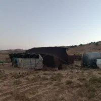 سیاچادر ، دوار