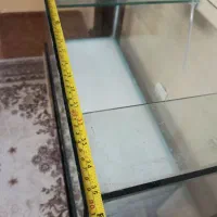 آکواریوم ماهی ۳ عدد|ماهی|بندر انزلی, متروپل|دیوار